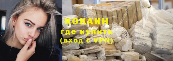 гидра Гусь-Хрустальный
