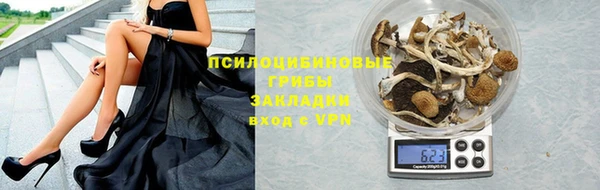 твердый Горно-Алтайск
