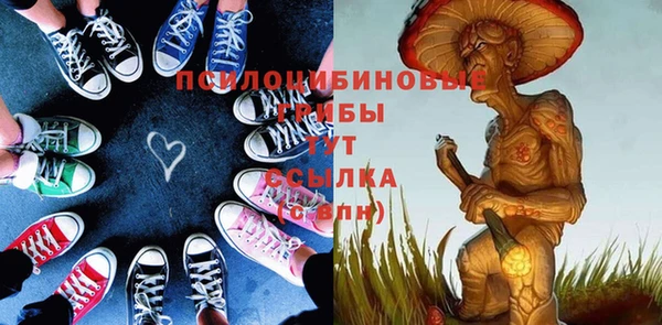 твердый Горно-Алтайск