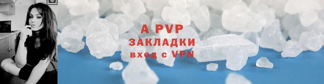 прущие грибы Гусиноозёрск