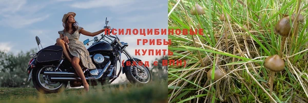 каннабис Горняк