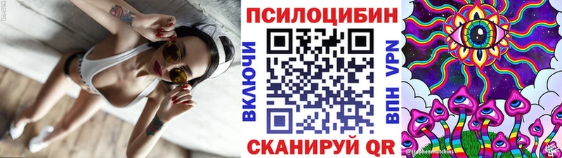 Псилоцибиновые грибы GOLDEN TEACHER  где можно купить   мега сайт  Дюртюли 