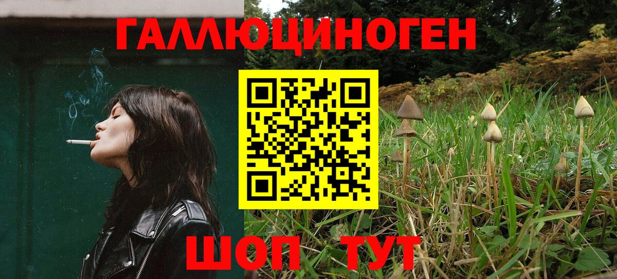 Галлюциногенные грибы MAGIC MUSHROOMS  Псилоцибиновые грибы Magic Shrooms  Дюртюли 